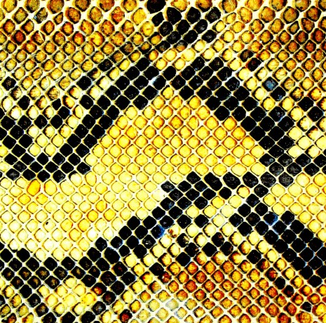 Amazing Snakeheads: Amphetamine Ballads (ecopack) [CD]