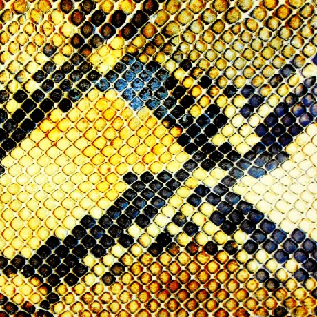 Amazing Snakeheads: Amphetamine Ballads (ecopack) [CD]