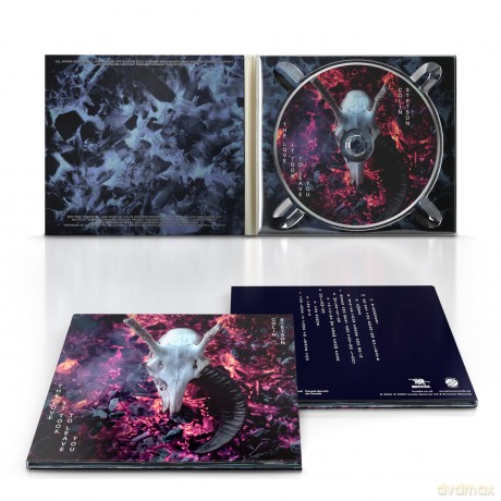 Colin Stetson: The Love It Took To Leave You [CD]