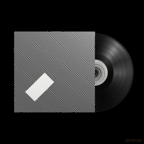 Jamie XX: In Waves [Winyl]