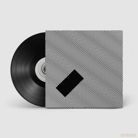 Jamie XX: In Waves [Winyl]