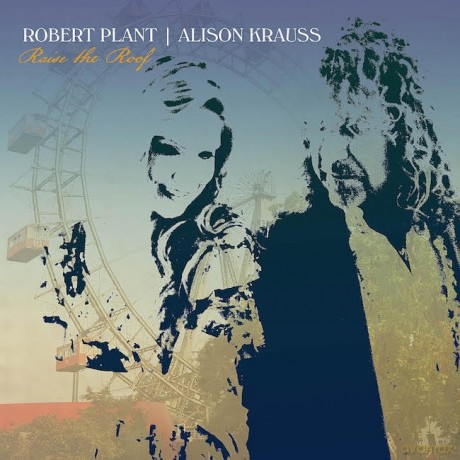 Robert Plant: Raise The Roof [CD]