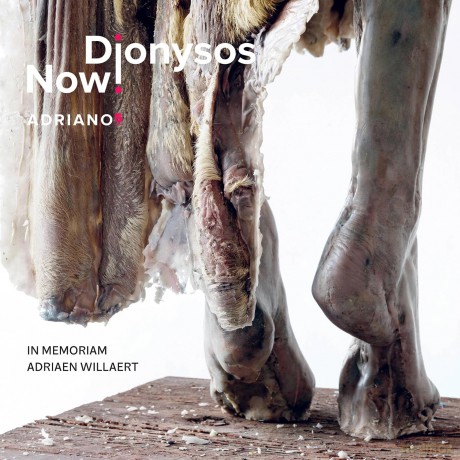 Dionysos Now!: Adriano 5: In Memoriam Adriaen Willaert (Ca. 1490-1562) [CD]