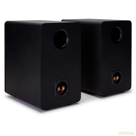 Aiwa: Aiwa SP-A100 - Book Shelf Speakers