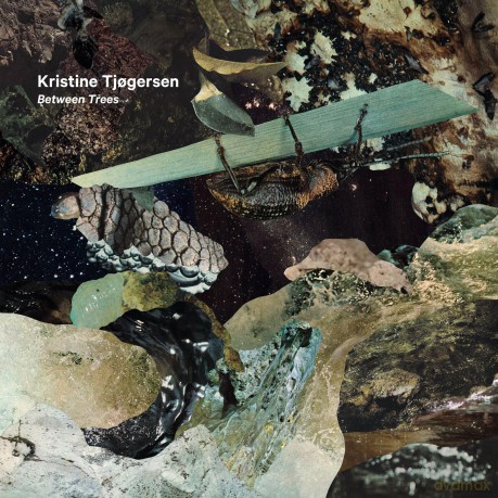 Kristine Tjogersen: Between Trees [CD]