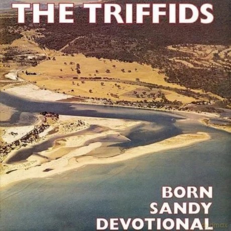 Triffids: Born Sandy Devotional [Winyl]