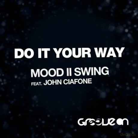 Mood II Swing: Do It Your Way [Winyl]