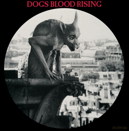 Current 93: Dogs Blood Rising (Picture) [Winyl]
