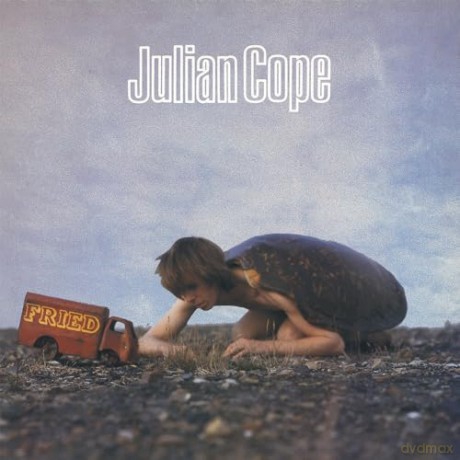 Julian Cope: Fried [Winyl]