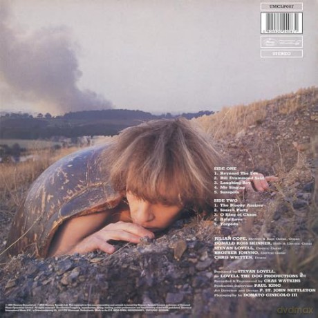Julian Cope: Fried [Winyl]