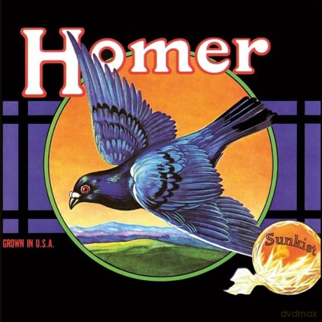 Homer: Grown In U.S.A. [Winyl]