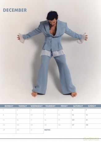 Harry Styles: Harry Styles 2025 Calendar [KALENDARZ]