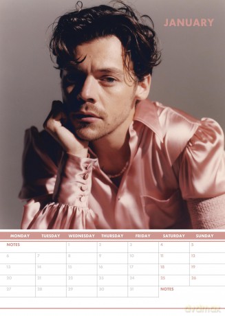 Harry Styles: Harry Styles 2025 Calendar [KALENDARZ]