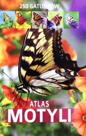 Atlas motyli. 250 gatunków - Twardowska Kamila, Twardowski Jacek [KSIĄŻKA]