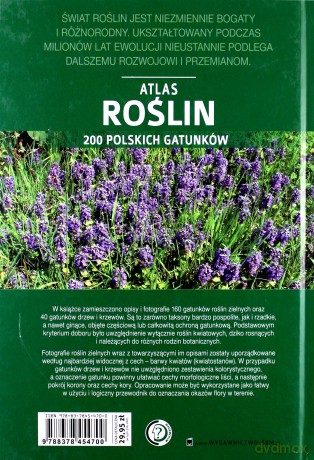 Atlas roślin. 200 polskich gatunków - Halarewicz Aleksandra [KSIĄŻKA]