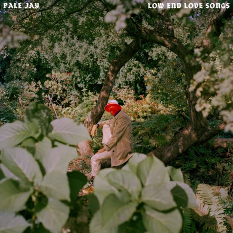 Pale Jay: Low End Love Songs [CD]