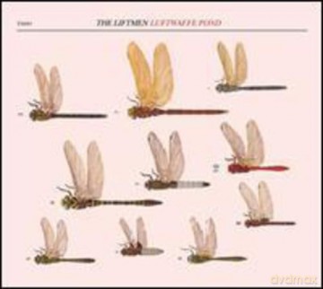 Liftmen: Luftwaffe Pond [Winyl]