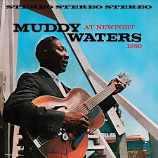 Muddy Waters: Muddy Waters At Newport [Winyl]