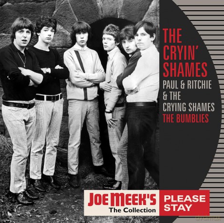 Cryin Shames & Paul & Ritchie & The Crying Shames & The Bumblies: Please Stay [Winyl]