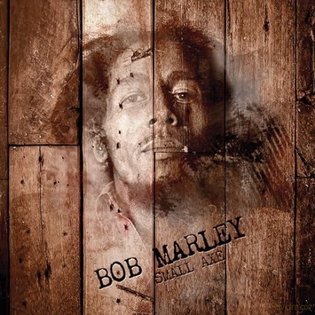 Bob Marley: Small Axe (Green) [Winyl]