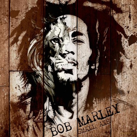 Bob Marley: Small Axe (Green) [Winyl]