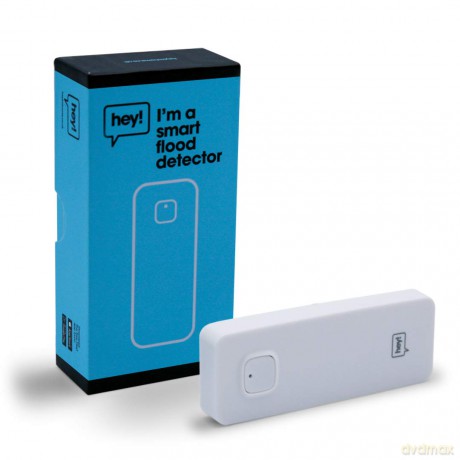 Hey Smart: Smart Leak Sensor
