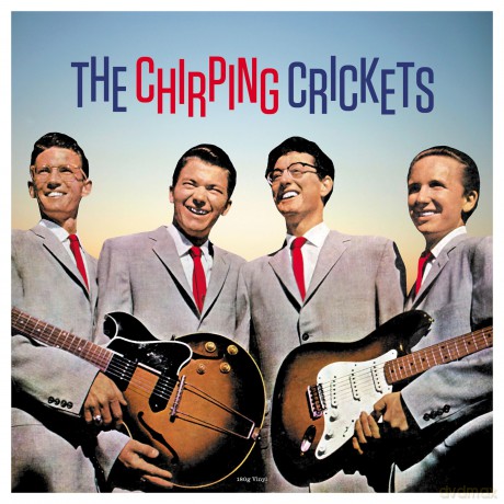 Crickets: The Chirping Crickets [Winyl]
