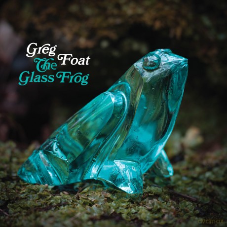 Greg Foat: The Glass Frog [Winyl]