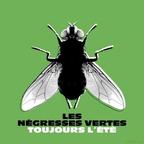 Les Negresses Vertes: Toujours Lete (Best Of) [Winyl]