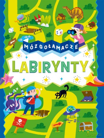Labirynty. Mózgołamacze [KSIĄŻKA]