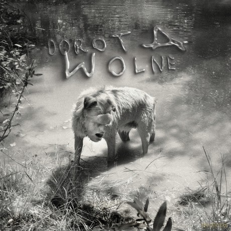 Dorota: Wolne [CD]