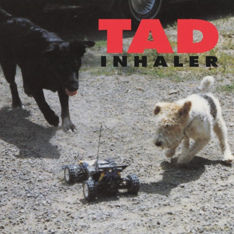 Tad: Inhaler [Winyl]