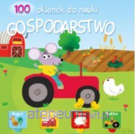 100 okienek. Gospodarstwo [KSIĄŻKA]