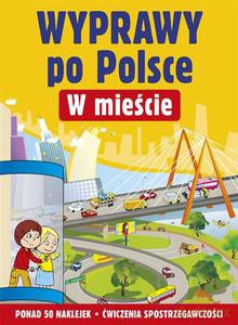 W mieście. Wyprawy po Polsce - Cichy Ludwik [KSIĄŻKA]
