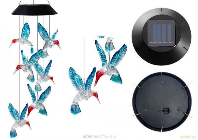 Lampka solarna kolibry