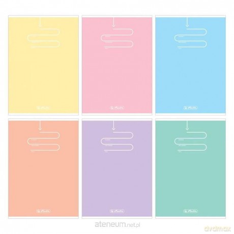 Zeszyt A5/60K kratka Pastel Color Blocking 1szt