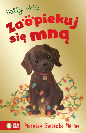 Pierwsza Gwiazdka Morisa. Zaopiekuj się mną - Holly Webb [KSIĄŻKA]