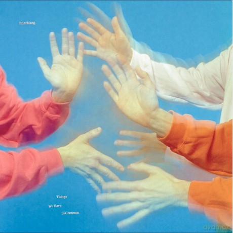 Efterklang: Things We Have In Common [CD]