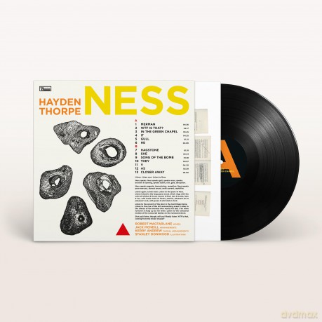 Hayden Thorpe: Ness [Winyl]