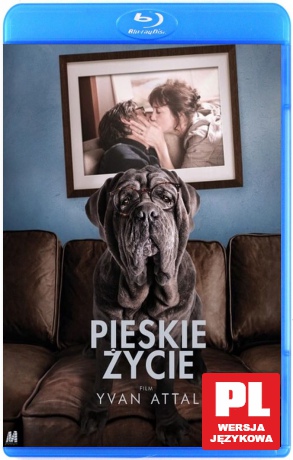 Pieskie Życie [Blu-Ray]