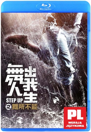 Step Up: Rok Tańca [Blu-Ray]