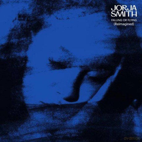 Jorja Smith: Falling or Flying (Reimagined) [Winyl]