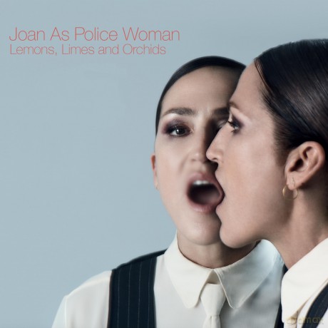 Joan As Police Woman: Lemons Limes And Orchids [CD]