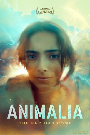 Animalia [DVD]
