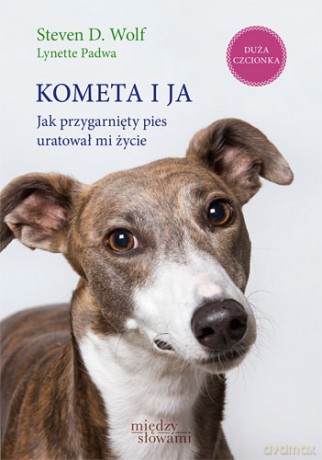 Kometa i ja - Steven D Wolf, Lynette Padwa [KSIĄŻKA]