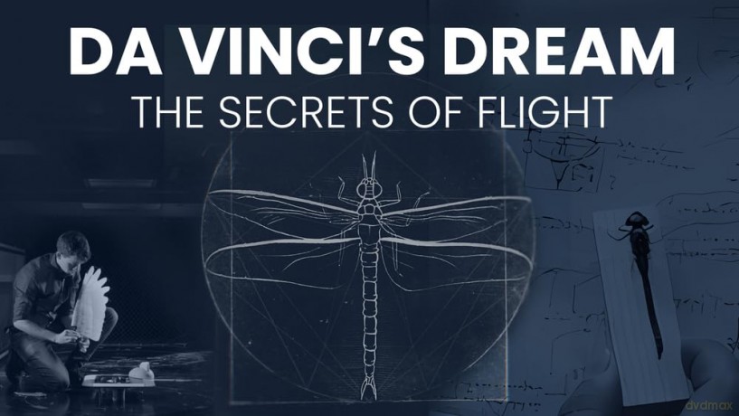Da Vinci's Dream: The Secrets of Flight [DVD]