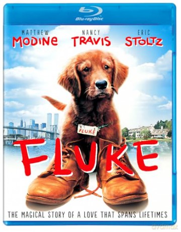Fluke (Psim tropem do domu) [Blu-Ray]