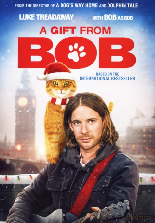 GIFT FROM BOB [DVD]