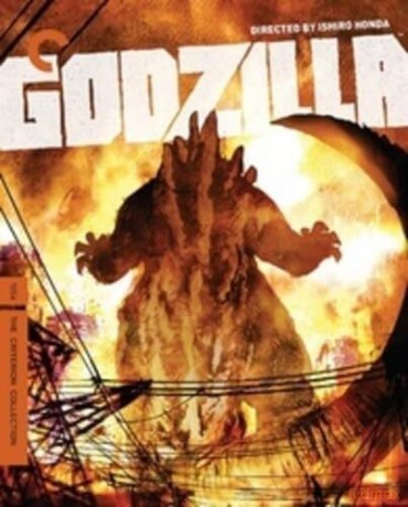 Godzilla (Criterion Collection) [DVD]