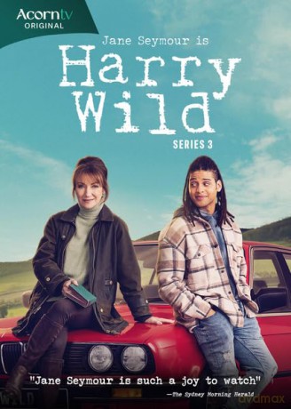 Harry Wild - Series 3 [DVD]